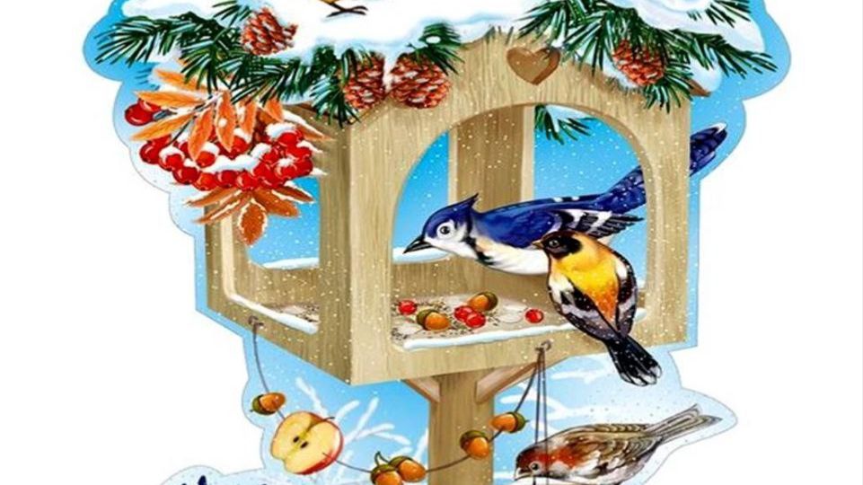 Сороки растаскивают кашу по кусочкам ПОДПИШИСЬ смотреть онлайн