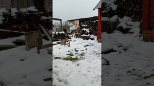 Утренний эфир от 21.12.25 делаю салат из крабочек и бутики, болтаем по душам