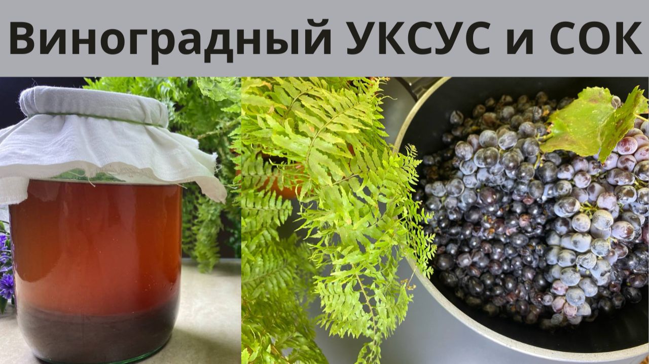 Виноградный сок или домашний уксус 🍇 Натурально, без консервантов смотреть онлайн