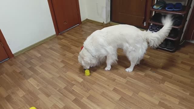 Поиск и обозначение