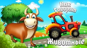 КАК ГОВОРЯТ ЖИВОТНЫЕ + МУЛЬТИКИ ПРО ЖИВОТНЫХ + ВЕСЁЛЫЕ ТАНЦЫ ЖИВОТНЫХ+ ЗВУКИ И ГОЛОСА ЖИВОТНЫХ