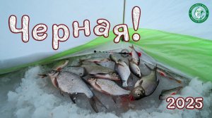 РЫБАЛКА В ЧЕРНОЙ, ЛЕЩИК, СОРОГА, ОКУНЬ В НЕПОГОДУ! ПОЛОВИЛ В ПАЛАТКЕ НА ПОПЛАВОК НА ГЛУБИНЕ, УРАЛ!