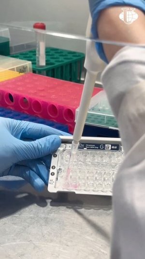 Как создается генетический портрет опухоли?