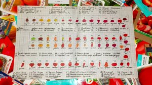 Схема посадки томатов в теплицу 3*6.Сезон 2026.