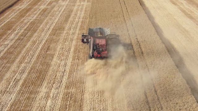 Уборка Кубанской пшеницы смотреть онлайн