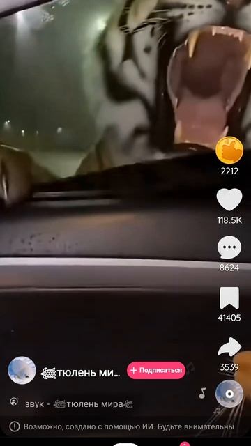 тигр 🐅 🙀