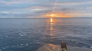 🎤 Юлия Мир 🌊 "Всё пройдет" ❣️ Сборник душевных кавер-песен 💔