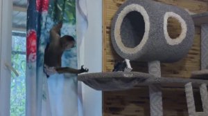 Люся со своей ревностью УМОТАЛА ВСЕХ, а Финик стал НЕУЛОВИМЫМ!