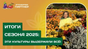 ИТОГИ СЕЗОНА 2025 // Каким было лето в саду и огороде?