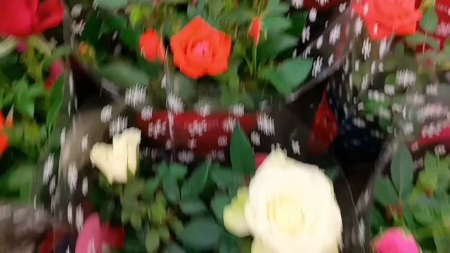 #красивые розы в Оби в брянске смотреть онлайн