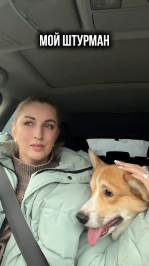 Берем в ралли?