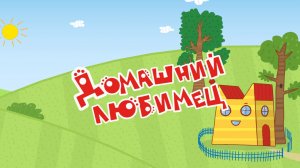 Три Кота и Попугай