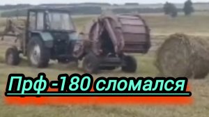 Какой пресс-подборщик выгоднее.Прф180 или прф145 ? МТЗ-80 в паре с  мтз 82 на заготовке сена .