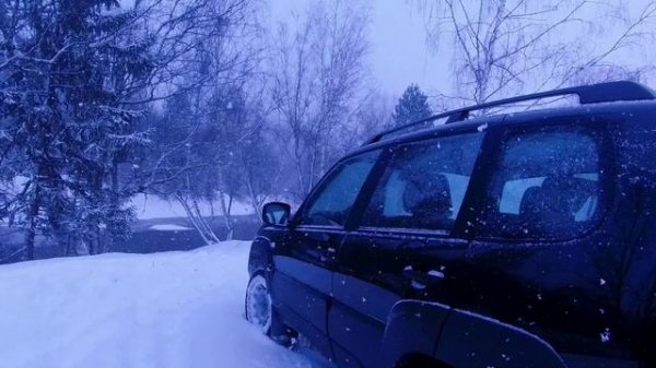 Все таки мы взяли новую Ниву Тревел с новым двигателем ,за сколько взяли как едет.