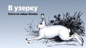 В узерку. Беляк