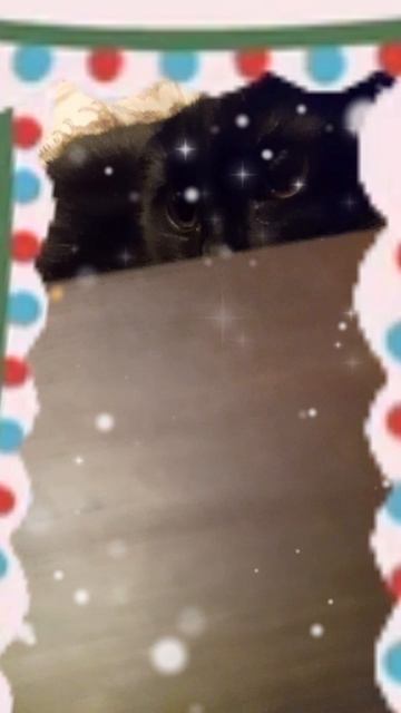 КОШКА НЕ ХОЧЕТ ЧТОБЫ ЕЁ НАЗВАЛИ ШАШЛЫКОМ 😢