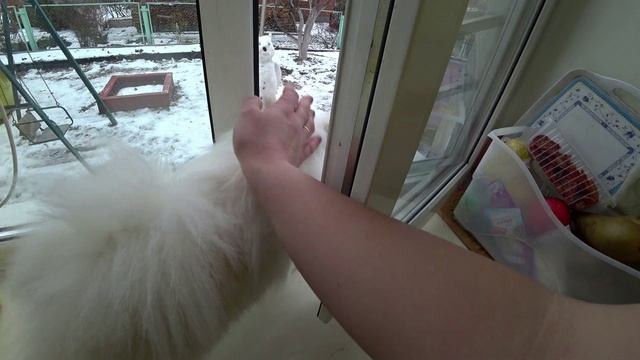 Влог от 03.12.2021 смотреть онлайн