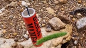 Взрываем мощные петарды в лесу 2025🧨