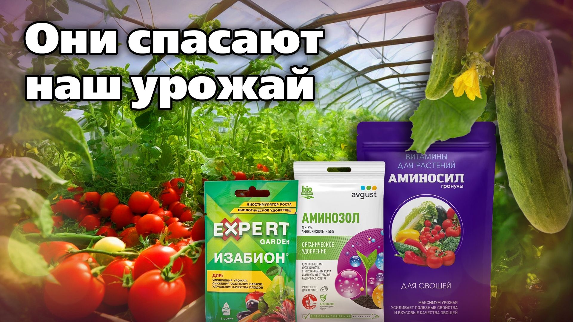 Аминокислоты для растений. Зачем нужны и чем помогают смотреть онлайн