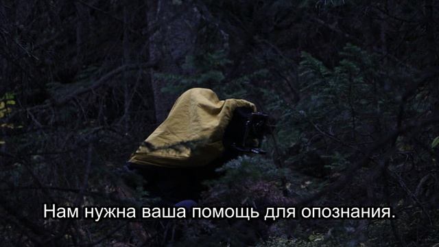 Пропавшая свадьба: Открытие после 12 лет в Приокском заповеднике (Часть 1) смотреть онлайн