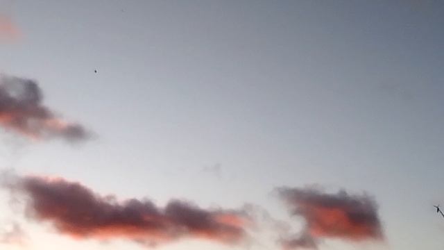 Облака красивого цвета на закате