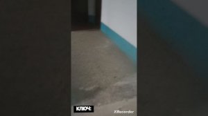 Тест домофонов и лифтов