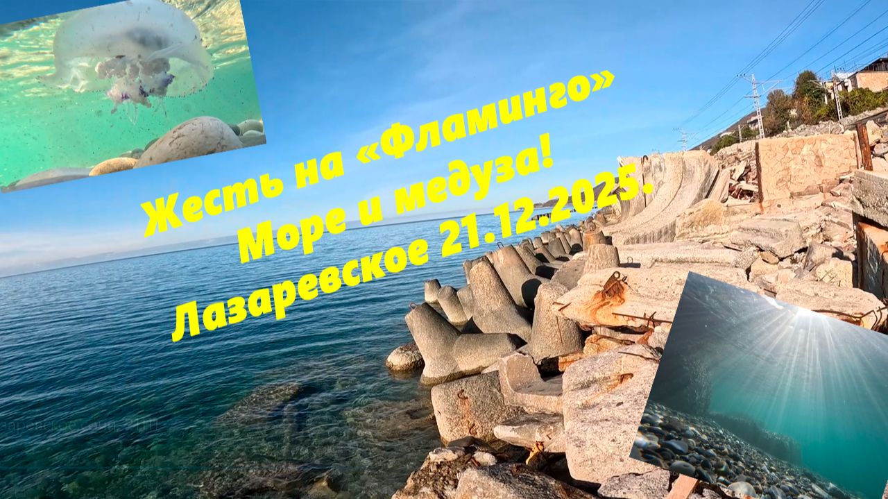 Жесть на пляже "Фламинго",море и медуза! Лазаревское 21.12.2025. смотреть онлайн