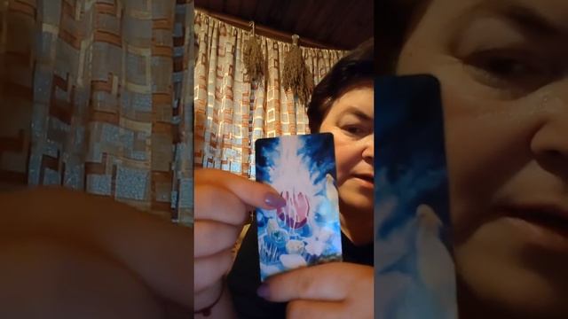 Прогноз от Банниа