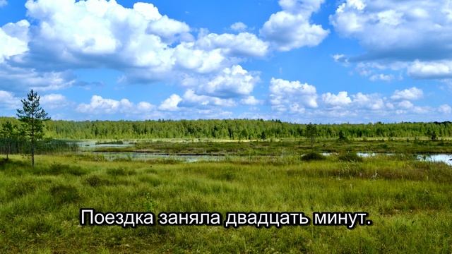 Пропавшая свадьба: Открытие после 12 лет в Приокском заповеднике (Часть 5) смотреть онлайн