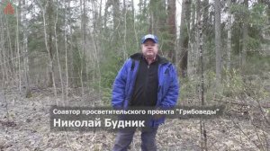 Грибов практически нет! Открытие грибного сезона 2025 года. Из цикла "Дневник грибника" 3 мая 2025 г