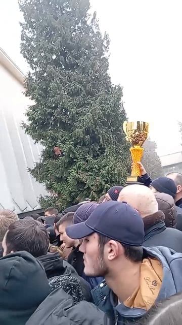 Осетия-Дагестан. Вольная борьба.