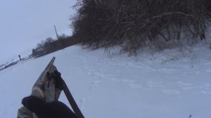 Трудовой заяц-русак, охота в Татарстане, зимний сезон 2025-2026г.