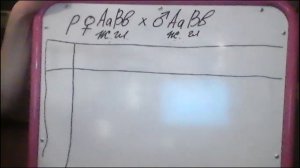 Дигибридное скрещивание