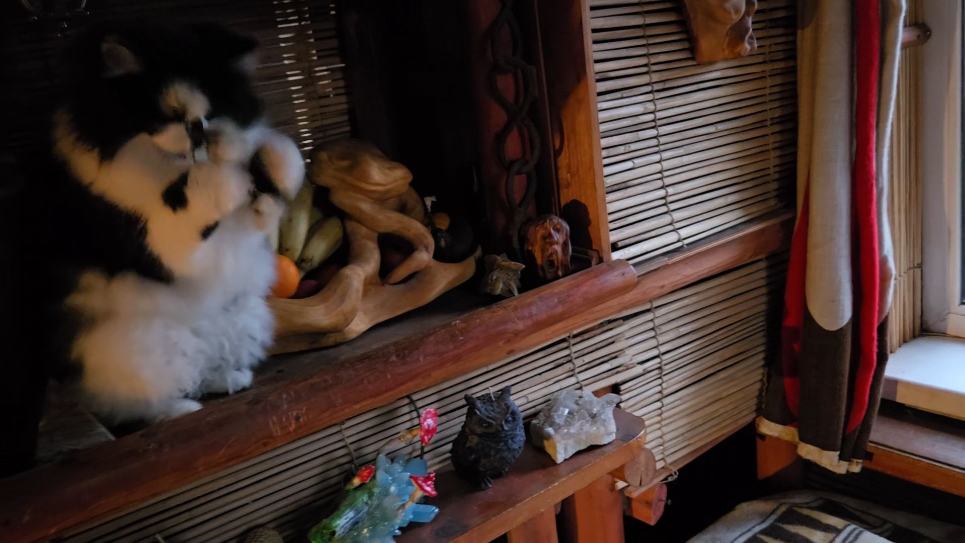 День жестяньщика, хвостатые личности и разноцветная лягушка смотреть онлайн