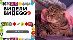 Видели видео? Выпуск от 21.12.2025