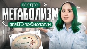 МЕТАБОЛИЗМ ДЛЯ ЕГЭ ПО БИОЛОГИИ 2026 ✨