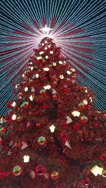 Тульская елка попала в Книгу рекордов России — как самая высокая искусственная ель высотой 32 метра.