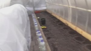 Ждем тепла! Обзор погоды и рассады томатов в теплице 30 марта 2023 года.