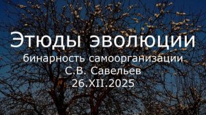 С.В. Савельев - Этюды эволюции. Бинарность самоорганизации