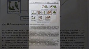 Биология 7 класс В.В. Пасечник. §10. Развитие растительного мира. Краткое содержание 1 главы.