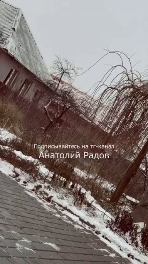 Ликвидация бандеровских собак!