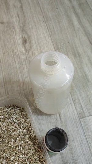 МАЛО КТО ЗНАЕТ ЧТО ТАКИМ СПОСОБОМ ДАЖЕ СТАРЫЕ СЕМЕНА ВЗОЙДУТ ЧЕРЕЗ СУТКИ!