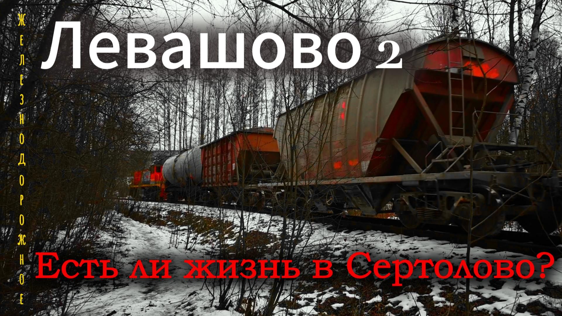Железная дорога в Сертолово. Подъездной путь станции Левашово.