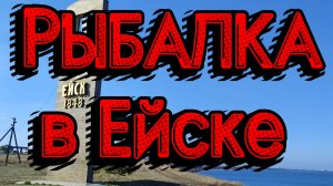 РЫБАЛКА В ЕЙСКЕ: Развод туристов или улов возможен?