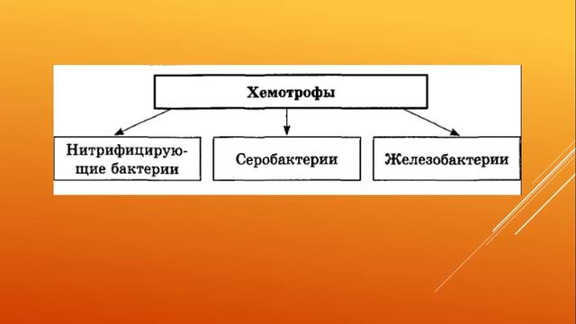 хемосинтез 1 смотреть онлайн