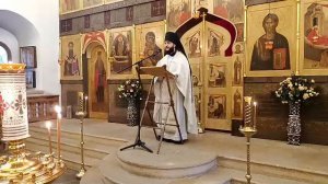 Неделя 28-я по Пятидесятнице. Прп. Патапия. Прямая трансляция.