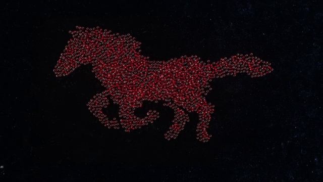 С наступающим Лошадкиным годом!