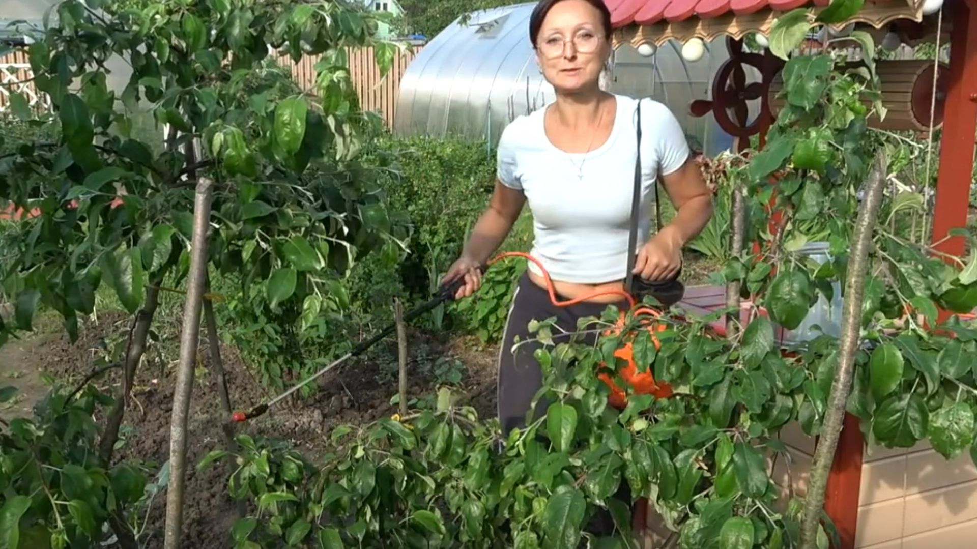 6 соток в июне 2021 года. Обрабатываю розы и облепиху Елизавета от тли... смотреть онлайн