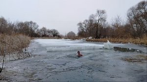 Моржевание,закаливание