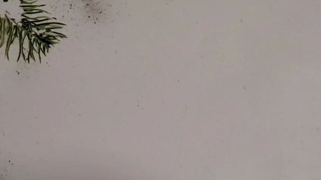 Вышивальный Адвен календарь 11 - 20